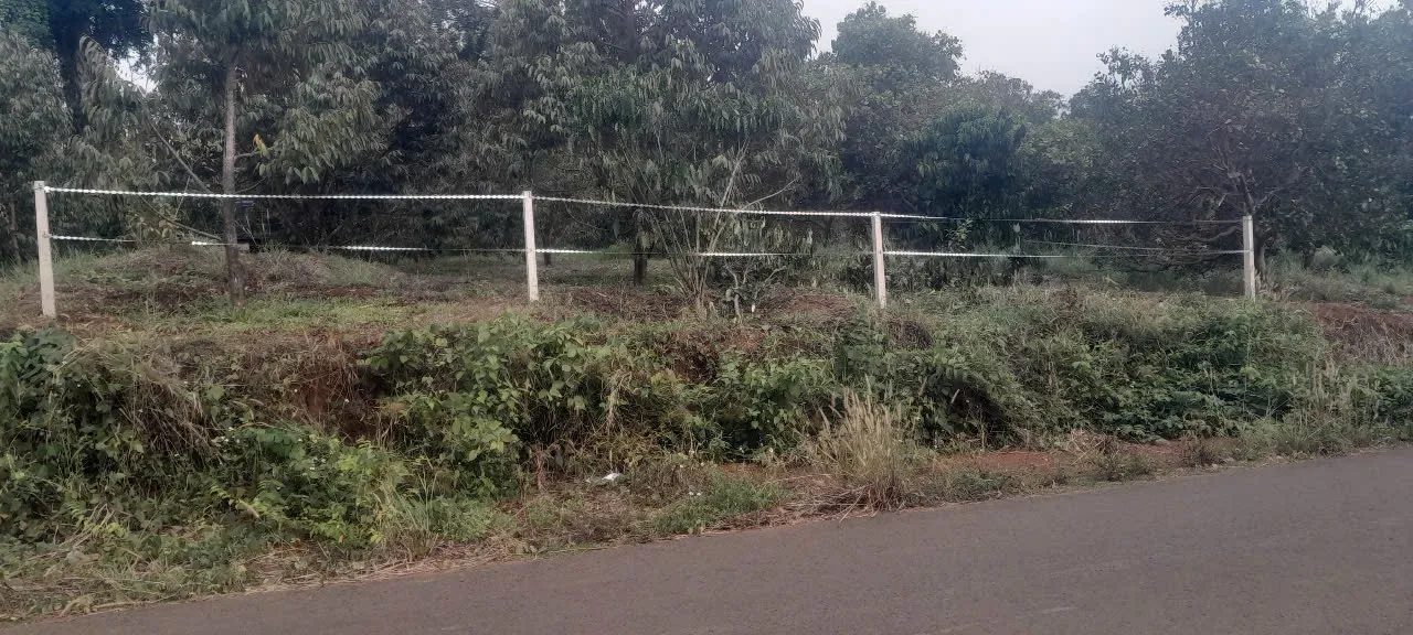 Bán 2 sào đất vườn sầu riêng giá rẻ