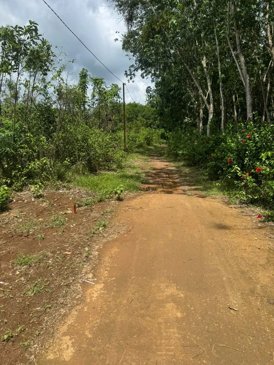 Bán lô đất sào giá rẻ tại Đồng Tâm