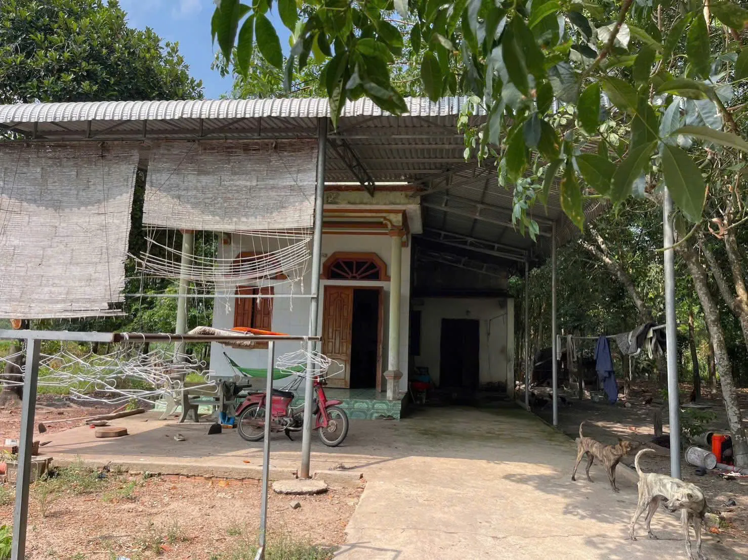 Bán đất phường Minh Hưng, Đồng Nai. Tặng một căn nhà kiên cố 2 phòng ngủ