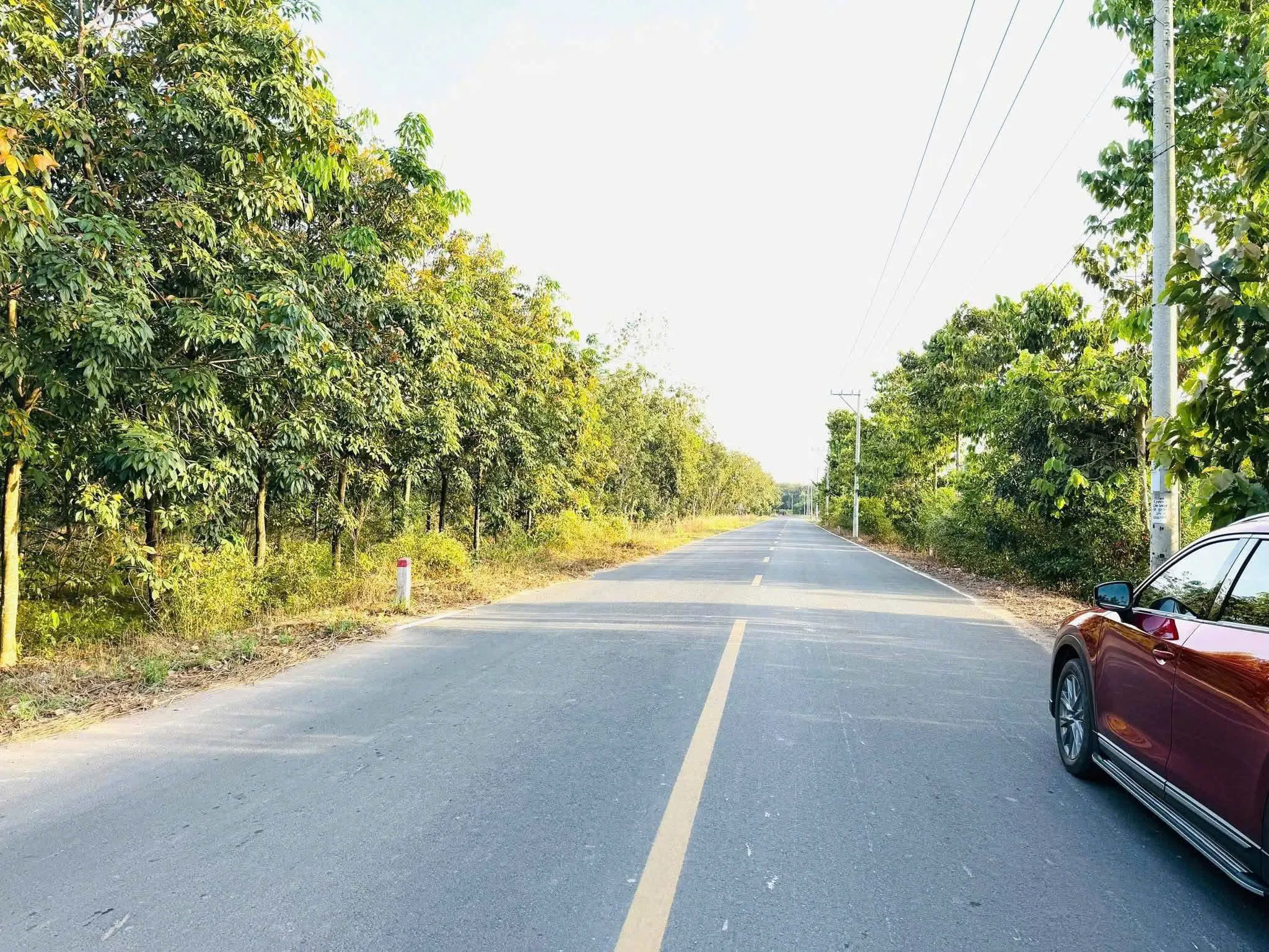 Bán đất xã Nha Bích, thành phố Đồng Nai