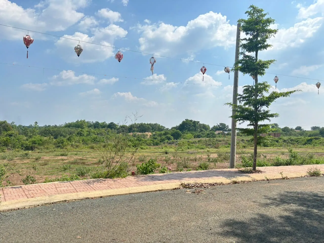 Bán lô đất đẹp giá rẻ cho nhà đầu tư