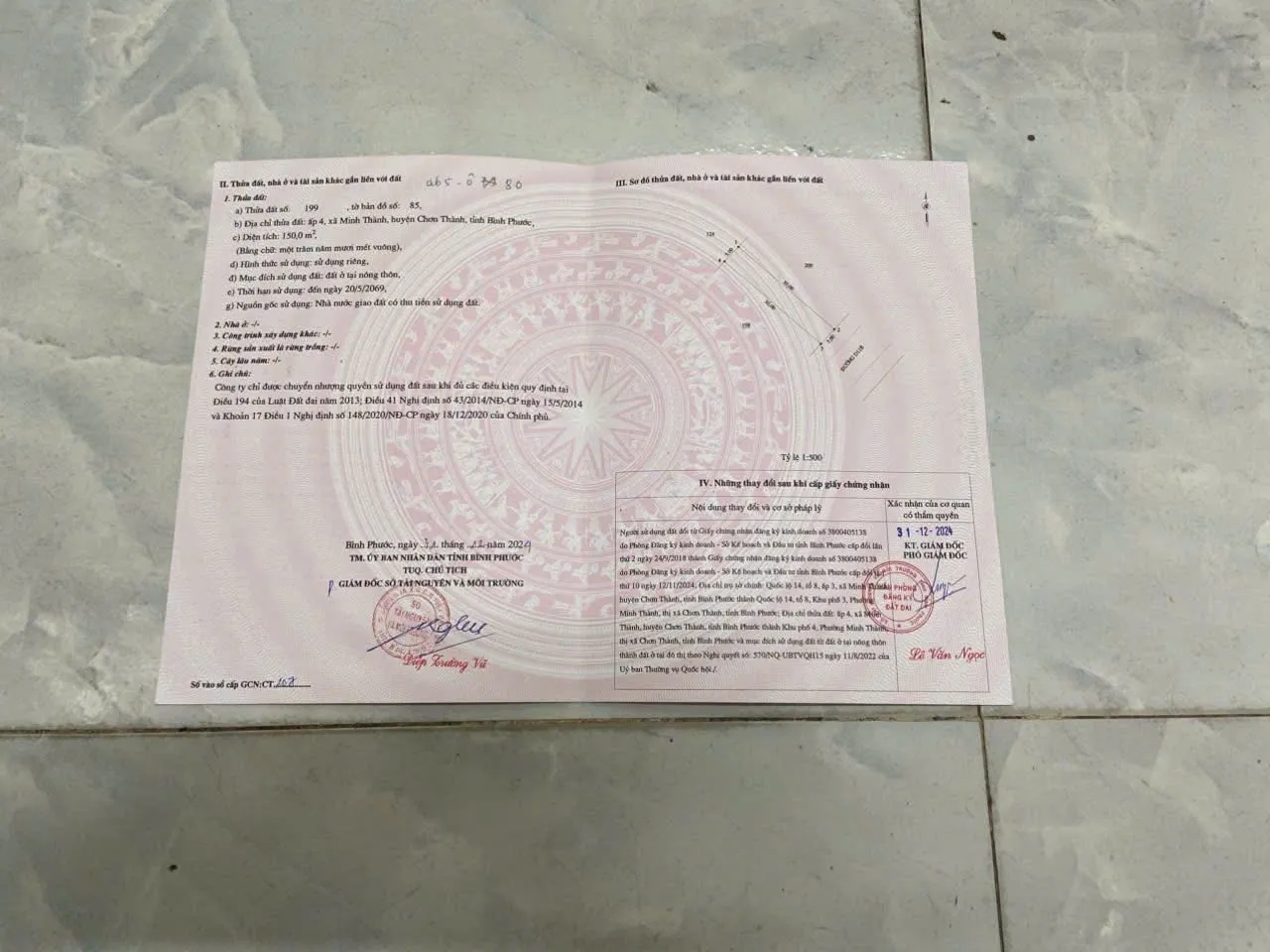 Ảnh 2