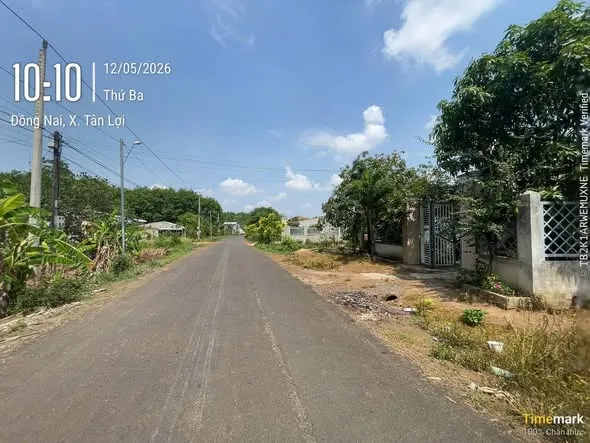 Bán đất mặt tiền đường gần trường học các cấp tại Tân Hưng, Đồng Phú (cũ)