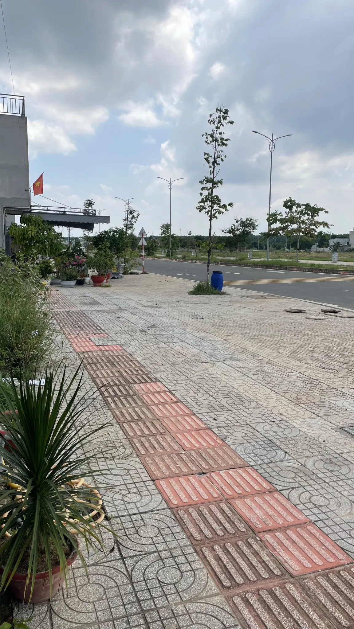 Ảnh 2