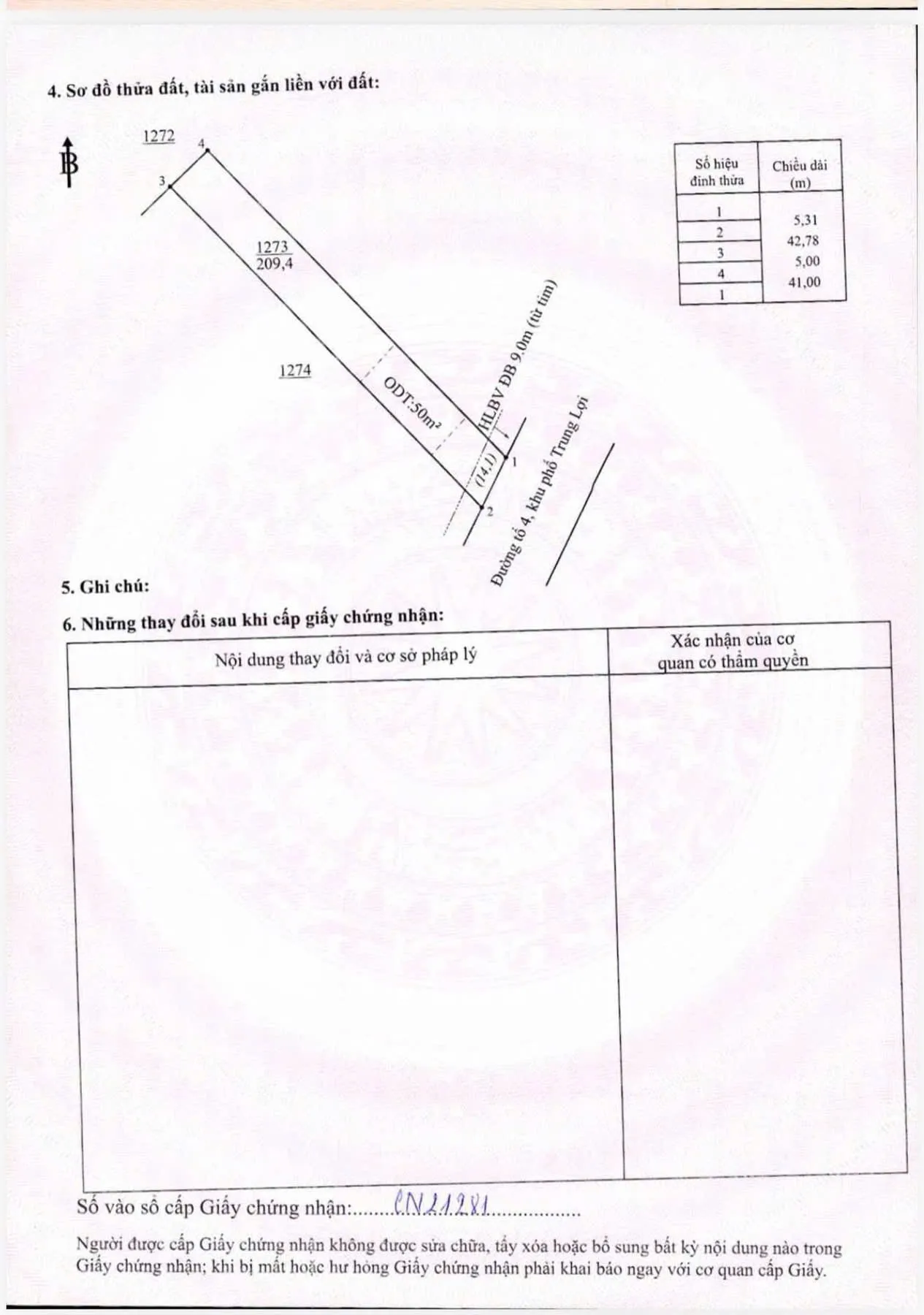 Ảnh 5