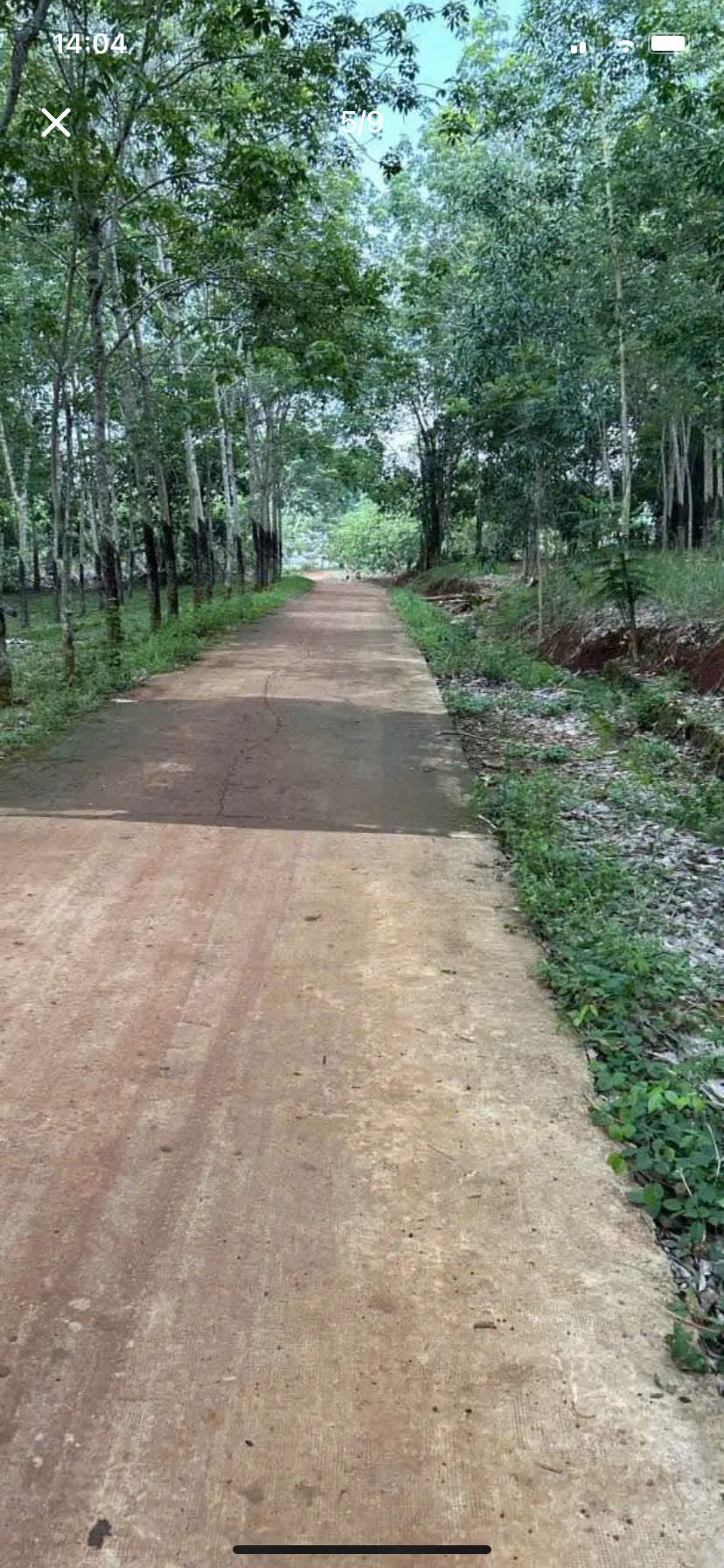 Bán đất sào tại Thuận Lợi, TP Đồng Nai