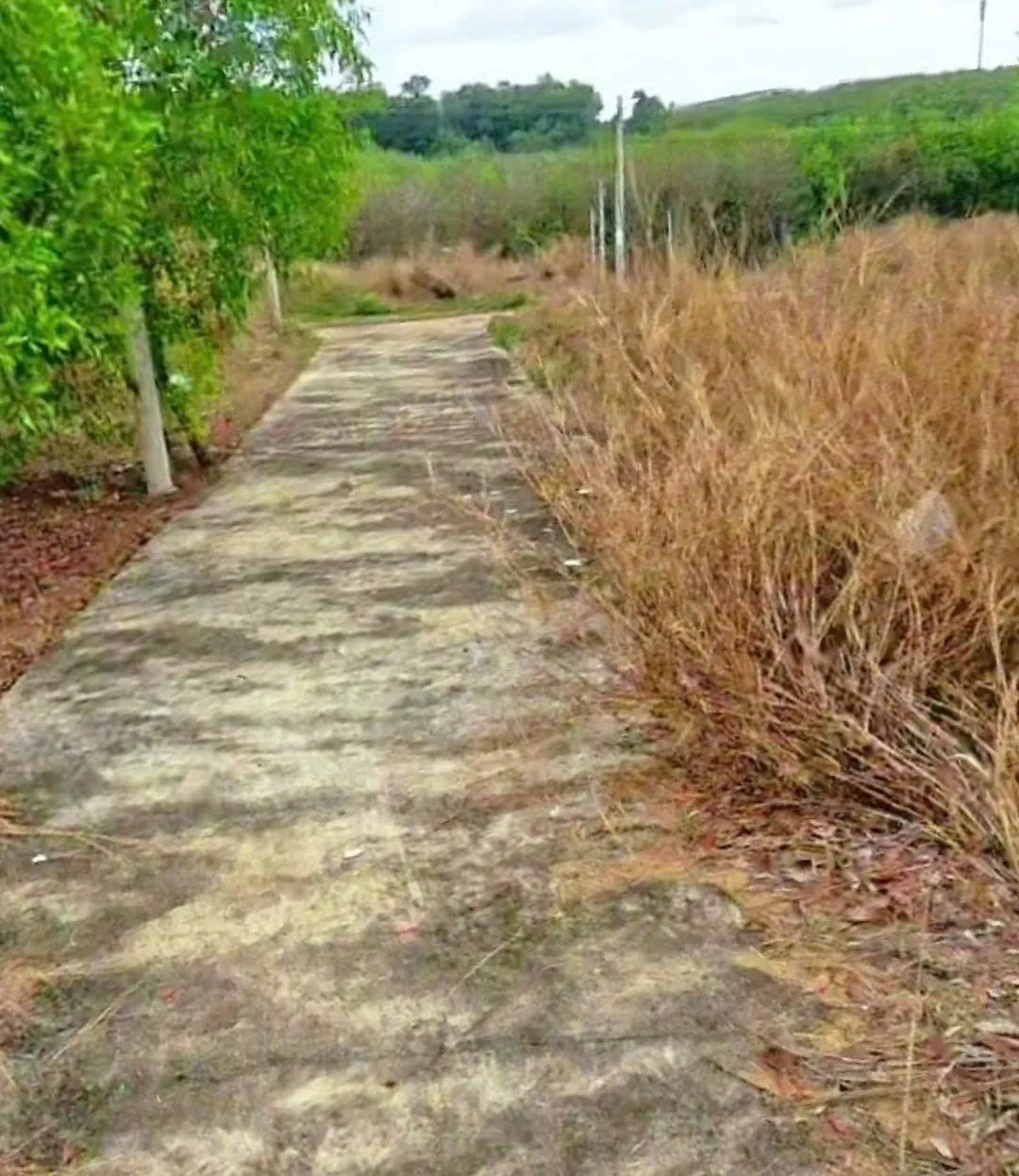 Bán lô đất hơn 300 mét vuông ngay sau bệnh viện Hoàn Mỹ Bình Phước