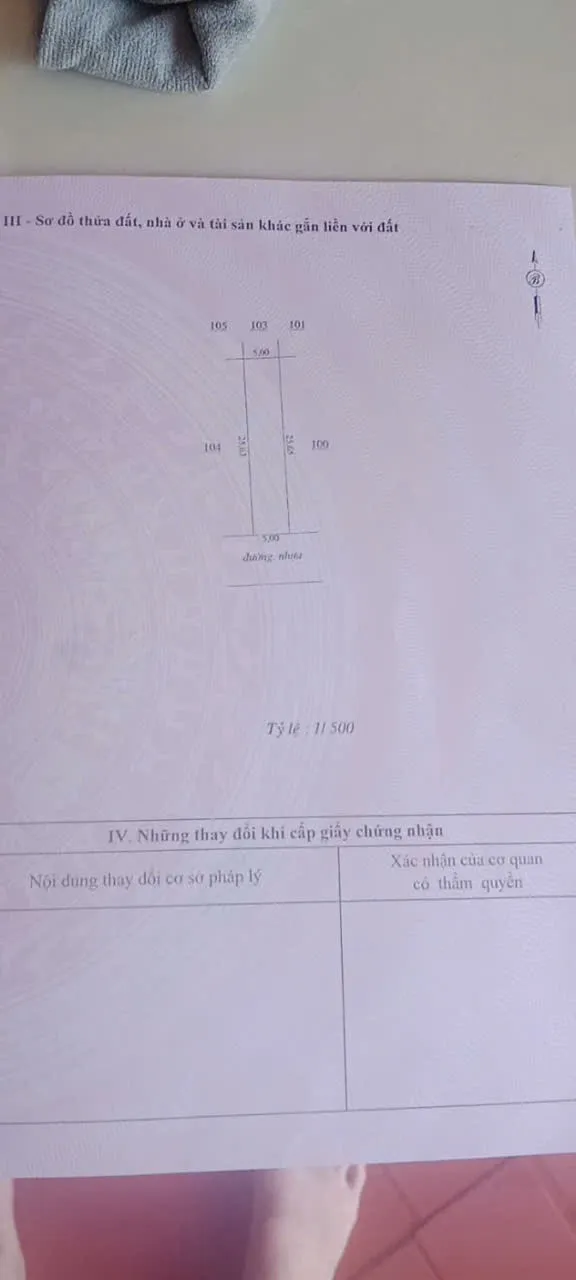 Ảnh 2