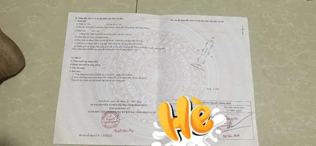 Ảnh 2
