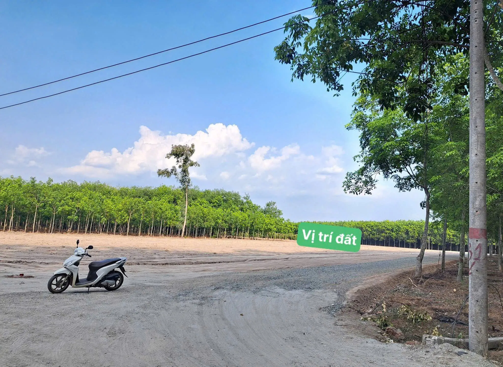 Bán đất phường Chơn Thành, Đồng Nai