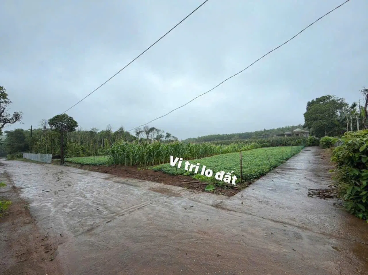 Bán đất ven biển Kim Thạch