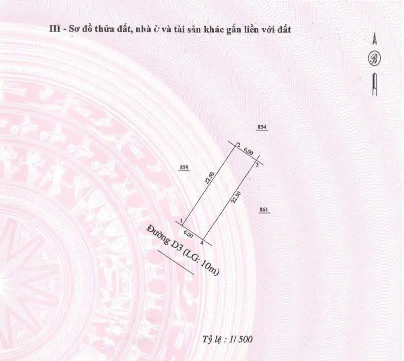 Ảnh 2