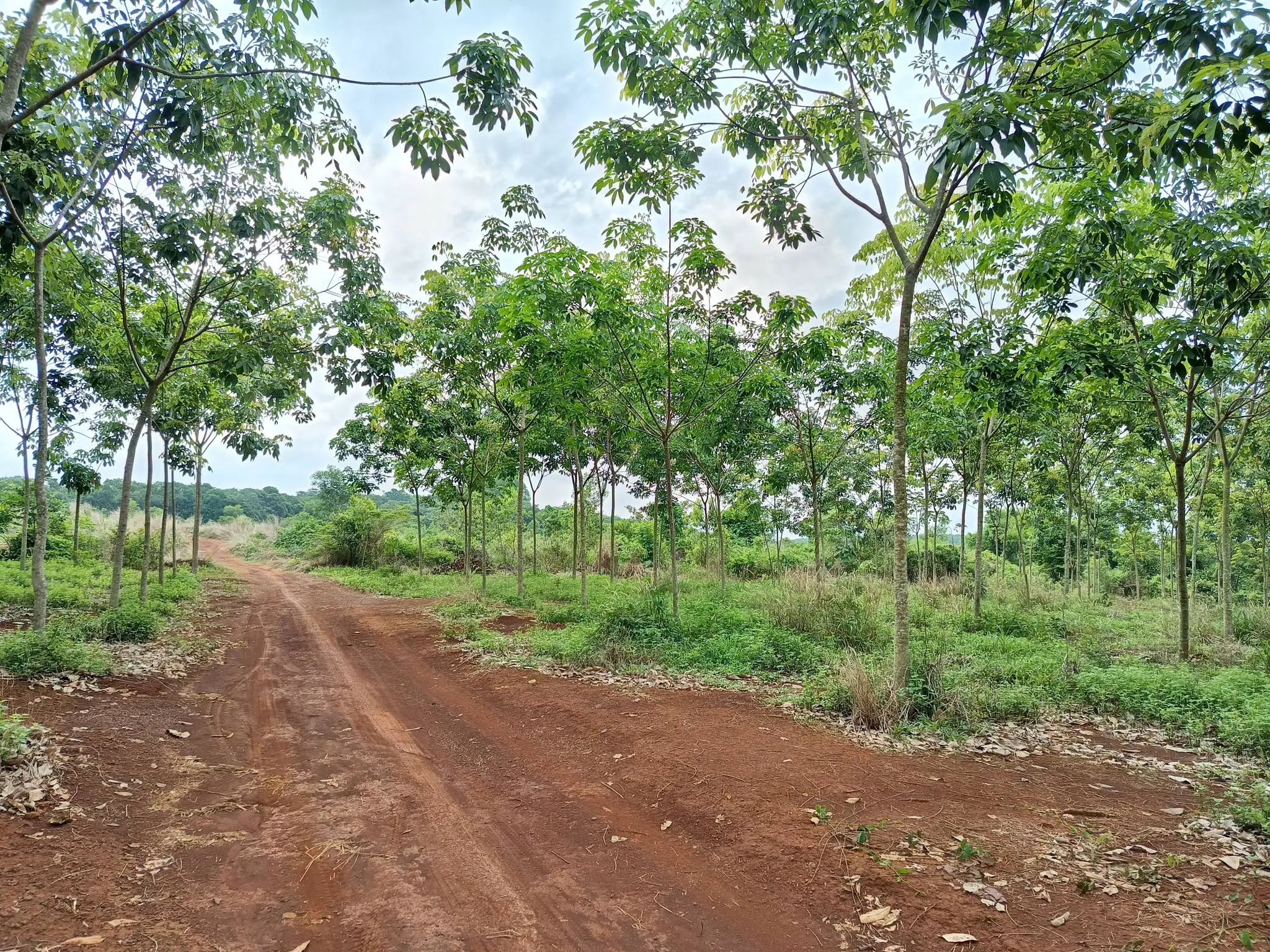 Bán lô đất đẹp gần Đồng Xoài